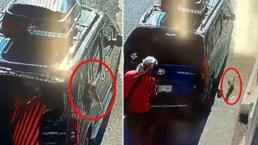 Kedi, aracın camını tek hamleyle kırıp kaçtı!