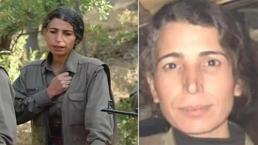 MİT'ten nokta operasyon! PKK'nın sözde ekonomi sorumlusu öldürüldü