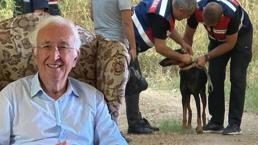 Berzeg'in köpeği Tina'nın talihleri sonuçlandı! Dikkat çeken rapor