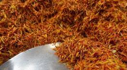 Prof. Dr. Osman Müftüoğlu’nun önerdiği şifa baharat! Unutkanlık problemi yaşayanlar, 1 kaşık bile yetiyor!