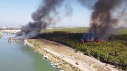 Antalya'da orman yangını! Alevler teknelere sıçradı