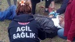 Köye inen ayı tarladaki yaşlı adama dehşeti yaşattı!