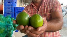 Antalya’da halde limon 3 TL’ye kadar düştü