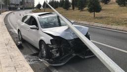 Sivrisinek kazaya sebep oldu! Şok eden olay