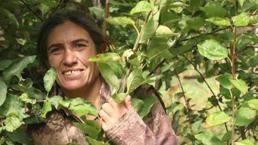 MİT'ten nokta operasyon! PKK'nın sözde sorumlusu etkisiz hale getirdi