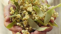 Artan salgın hastalıklara çare oldu! Kilo fiyatı 800 TL'ye kadar yükselmesine rağmen satışlar patladı