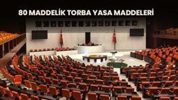80 maddelik torba yasada neler var 2023? Kademeli emeklilik, 3600 ek gösterge, infaz düzenlemesi, taşerona kadro, ehliyet affı 80 maddelik torba yasada var mı?