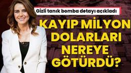 Seçil Erzan milyon dolarları İsviçre'ye mi kaçırdı? Gizli tanık bomba detayı açıkladı