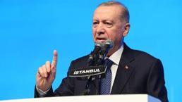 Erdoğan'dan sokak hayvanları açıklaması: Mutlaka çözüme kavuşturacağız
