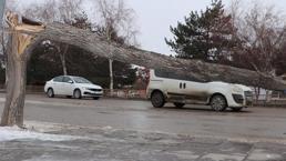 Erzurum'da fırtına; çatılar uçtu, ağaçlar devrildi