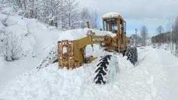 Doğu Karadeniz'de kar; 367 köy yolu kapandı! Çalışma başlatıldı