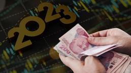 Ne dolar ne borsa ne de altın! Kimsenin aklına bile gelmezdi, İşte bu yılın en çok kazandıranı