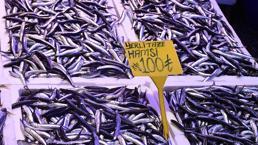 Hamside 'fırtına' ve 'soğuk hava' etkisi