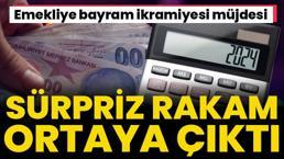 Emekliye bayram ikramiyesi müjdesi! Sürpriz rakam ortaya çıktı