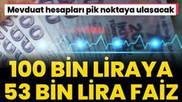 100 bin liraya 1 yılda 53 bin 890 lira faiz! Mevduat hesapları pik noktaya gözünü dikti