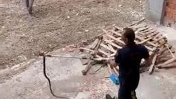 Havalar ısınınca ortaya çıktılar! Uzmanlar uyardı 