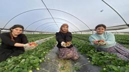 Fiyatı 1 ayda dip yaptı! 400 liradan 90 TL'ye düştü
