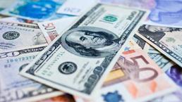 Dolar ve euroda yeni zirve! İşte döviz kurunda son durum