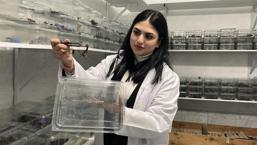 İnternetten video izlerken yeni işini buldu! Genç girişimci Türkiye'de bir ilke imza attı 