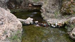 Kastamonu’nun köyünde keşfedildi! Tek yudumu her derde deva, binlerce kişi şifa için akın ediyor