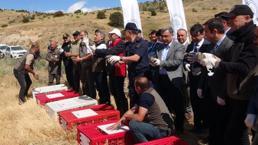 Tüm Türkiye'de artışa geçti! Ne yaptılarsa olmadı, çözüm olarak Yozgat'ta binlercesi doğaya salındı!