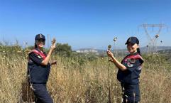 Aydın'ın 'gizemli' hazinesi! Dünyada sadece o bölgede var: 557 bin TL'si olmayan dokunamıyor