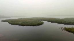 Dünyada eşi benzeri yok! Rize'deki yüzen adalar resmen 'haber' veriyor, sadece bilen anlıyor