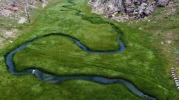 Türkiye'de ilk defa Mersin'de keşfedildi! Dünyanın en iyisi seçildi, yurt dışına kapış kapış gidiyor
