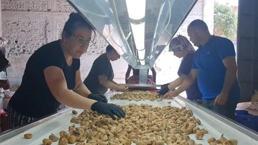 33 gün çalışıp 90 bin TL kazanacaklar! İşçi maaşlarına rekor zam, konaklama ve yemek bedava