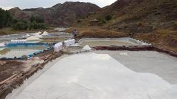 Sivas'ta üretiliyor faydası saymakla bitmez! Japonya her yıl 50 ton satın alıyor