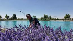 Kayseri'de 8 bölgede ekildi: Şehri kokusu sardı! Üretimi de var