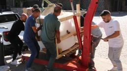 Diyarbakır'da yıllarca evinde sakladı! Karısı ölünce 'hazine'yi ihbar etti, 8 kişi taşıyamadı