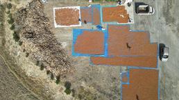 Trabzon'da üreticiler fındıkları kurutacak düz bir alan bulamayınca komşu kente göç etti!