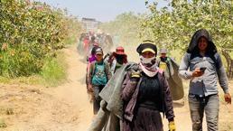 Rekolte düştü, fiyatı yüzde 500 arttı! Kilosu 700 TL'den kapış kapış gidiyor