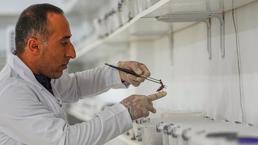 Diyarbakırlı girişimci akreplere yatırım yaptı! 1 gramı 12 bin dolara satılıyor: O belgeseli izledikten sonra harekete geçti