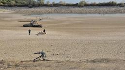 Bursa'da kriz kapıda! Ölümler her geçen gün artıyor! Muhtar kötü haberi verdi: Yok oldu