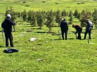 Tokat'ta halk girişimi sonuç verdi: 700 tanesi taşındı! Yaşam alanı oluştu