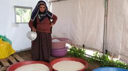 Erzincan'da Şavak Aşireti'nin zorlu yayla mesaisi meyvesini verdi! Tescilli ürünün satışları başladı