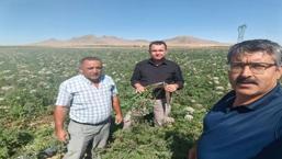 Konya’da uzmanından önemli uyarı! Son günler olabilir: Hemen kontrol edin!