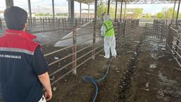 Iğdır'da şap alarmı! Hayvan giriş çıkışları yasaklandı: Hepsi kapatıldı