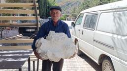 Konya'da köyde buldu! Taş sandı, yaklaşınca donup kaldı: İlk kez görüyorum, tam 19 kilo