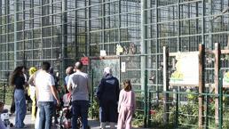 Giriş tamamen ücretsiz! Kayserililer akın etti