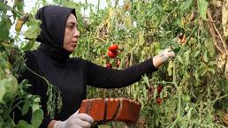 Erzincanlı kadın kendi işini kurdu ama çocukluk hevesinden de vazgeçmedi! Gündüz onu görenler akşam tanıyamıyor