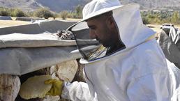 Defalarca dünya birincisi oldu! Kilosu 3 bin liradan kapış kapış satılıyor