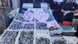 Tezgahta şenlik var! Kilosu 50 TL'ye kadar düştü, kapış kapış gitti