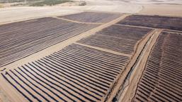 Bu proje bölge ekonomisine can verecek! Hem istihdam sağlayacak hem de üretim üssü olacak