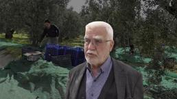 Bursa'da yetişiyor, İsviçre sofralarını süslüyor! 'Yok yılı'nda gelen sürpriz yüz güldürdü