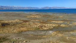 Renkli yazlardan sessiz çöl manzarasına! Van Gölü'nün 8 yıllık değişimi
