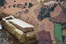 Bursa'da tarlada bulundu! Adeta fışkırdı: O mahallede korumaya alındı