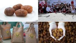 Bursa ve Edirne'nin ürünleri Avrupa'da tescillendi! Bakan Yumaklı müjdeli haberi açıkladı